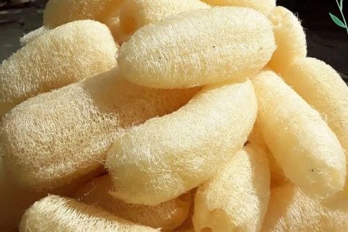 Thứ 'rẻ như cho' ở Việt Nam, gần 1 triệu/kg tại nước ngoài