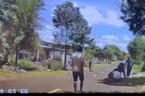 Bé trai 3 tuổi bất ngờ chạy từ trong nhà ra đường bị xe máy hất văng