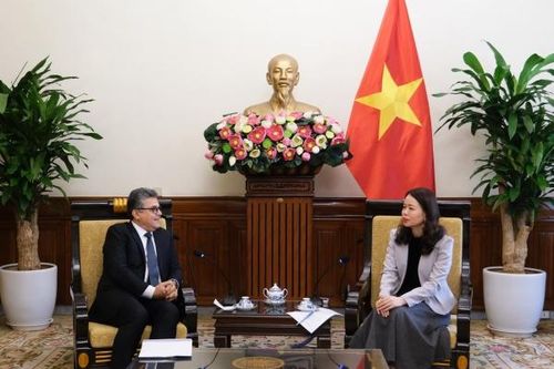Việt Nam ủng hộ sự nghiệp đấu tranh chính nghĩa của nhân dân Palestine và giải pháp hai nhà nước