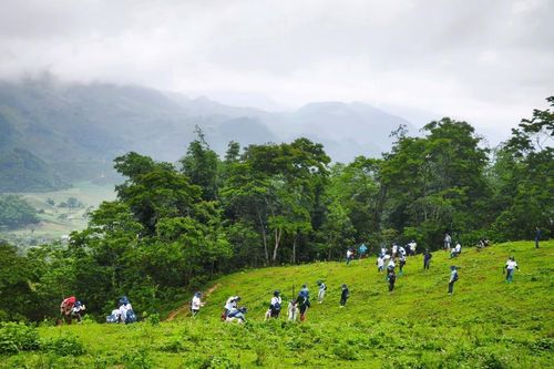 'Rừng Xanh lên' - mô hình hợp tác đa bên hiệu quả