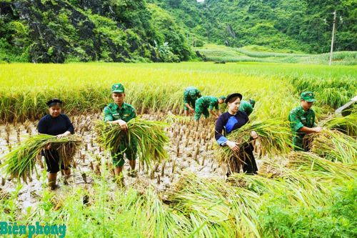 Khẳng định vai trò nòng cốt, xung kích trên mặt trận phòng, chống thiên tai, tìm kiếm cứu nạn