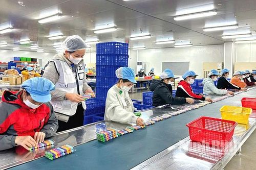 Ninh Bình đẩy nhanh tiến độ điều tra doanh nghiệp để đưa ra chính sách phù hợp thúc đẩy phát triển