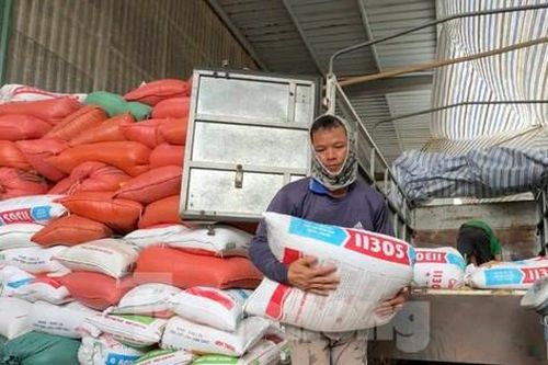 Thu mua, sấy lúa ngâm nước cho người dân vùng lũ Hà Tĩnh