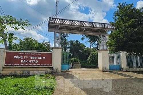 Đi tuần tra rừng, Phó giám đốc công ty lâm nghiệp ở Đắk Nông bị đánh gãy xương sườn