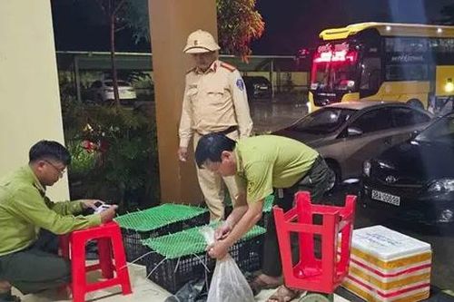 Xe khách vận chuyển động vật hoang dã trái phép