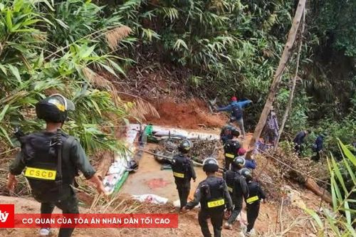 'Địa đạo vàng tặc' giữa rừng phòng hộ