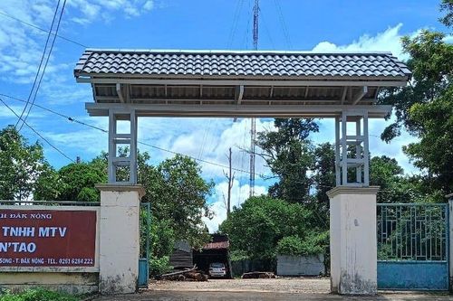 Phó giám đốc công ty lâm nghiệp bị đánh gãy xương sườn khi kiểm tra rừng