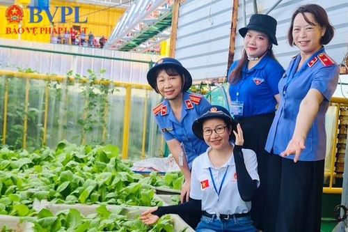Kỳ 4: Hạt sống nảy mầm giữa biển khơi