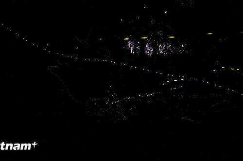 Ngắm 'vũ điệu ánh sáng' đẹp như trong cổ tích tại Vườn Quốc gia Cúc Phương