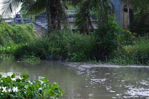 Cấp bách tìm nguyên nhân khiến sông Vàm Cỏ Đông bị ô nhiễm