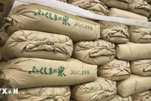 Nhật Bản bán gạo trong kho dự trữ để chặn đà tăng phi mã của giá gạo