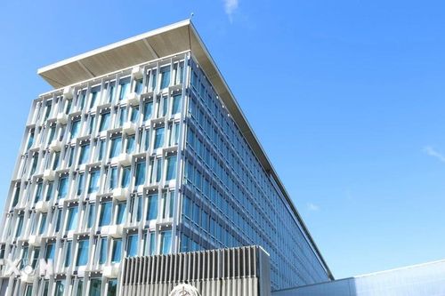 Cờ Palestine sẽ lần đầu tung bay tại trụ sở Tổ chức Y tế Thế giới