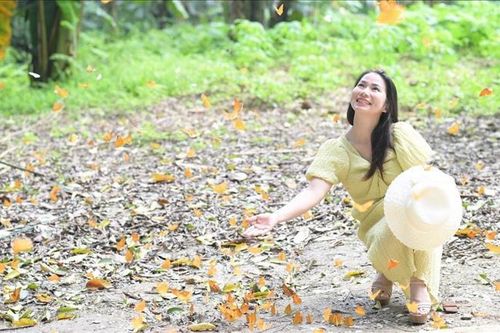 Mùa bướm ở Vườn quốc gia Cúc Phương 'níu chân' du khách