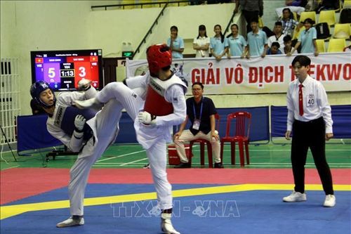 Gần 400 vận động viên tranh tài tại Giải vô địch Taekwodo quốc gia năm 2025