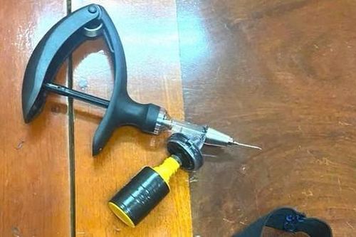 Bắt kẻ đâm kim tiêm vào đùi 5 học sinh rồi quay video