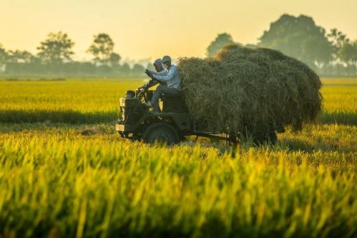 Tư duy mới cho nông nghiệp chuyển mình