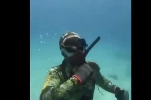 CLIP: Thót tim khoảnh khắc thợ lặn bị bạch tuộc khổng lồ siết cổ dưới đáy biển