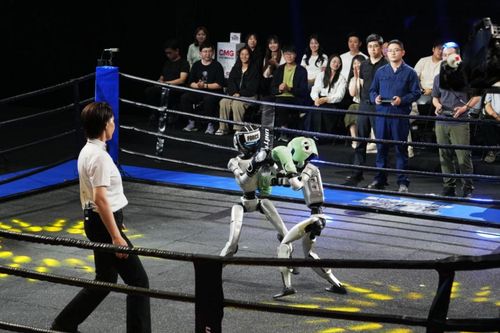 Trung Quốc: Giải võ tổng hợp đầu tiên dành cho robot khiến khán giả 'phát cuồng'