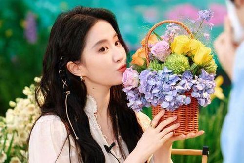 Một câu nói của Lưu Diệc Phi khiến netizen 'quay xe' giữa ồn ào của Triệu Lệ Dĩnh