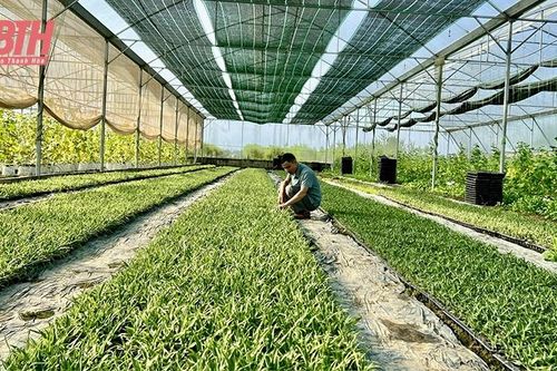 Tưới nước tiết kiệm - 'chìa khóa' mở cánh cửa nông nghiệp hiện đại