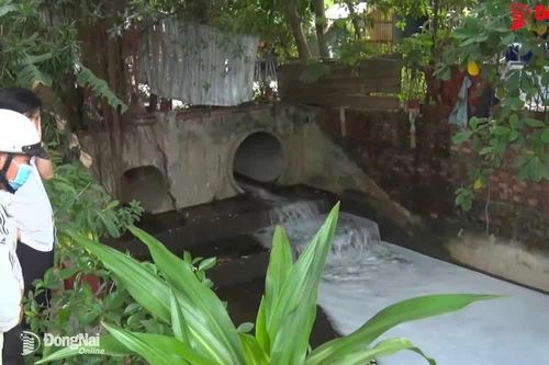 Vụ suối Bà Lúa sủi bọt trắng xóa: Phải truy ra 'thủ phạm' để xử lý nghiêm