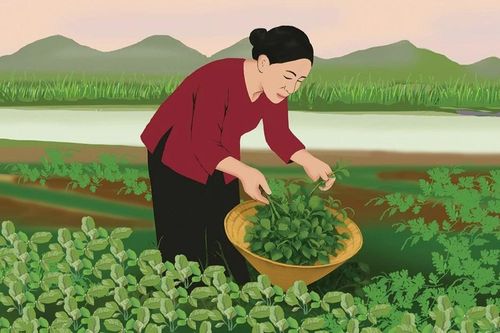 Rau dại quê nhà