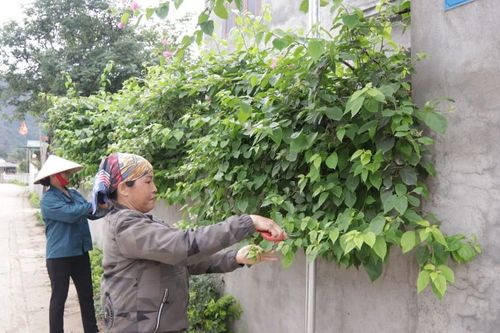 Hữu Lũng: Xanh, sạch nông thôn mới