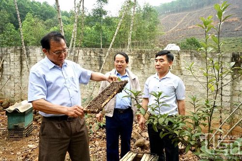 Lan tỏa những tấm gương người cao tuổi tiêu biểu