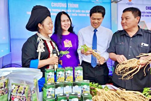 Phát triển thương mại điện tử tại Lai Châu: Vượt rào cản bằng đào tạo và công nghệ số
