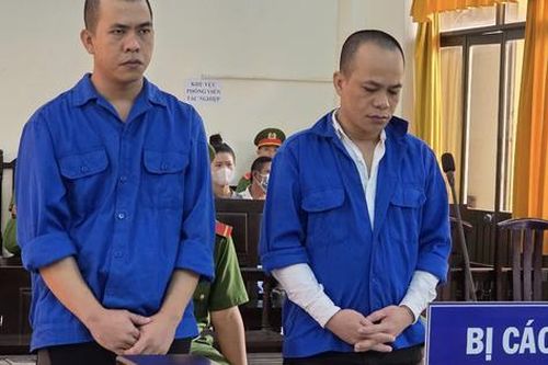 Phạt tù 2 anh em tắt thiết bị giám sát, đưa tàu đến vùng biển nước ngoài bắt hải sản