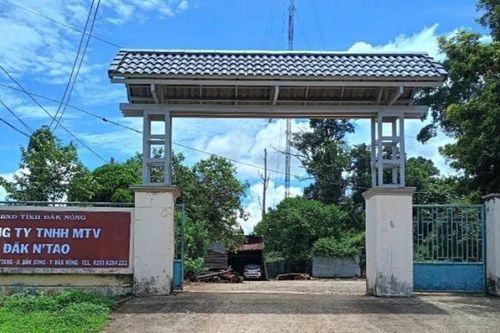Phó Giám đốc công ty lâm nghiệp bị lâm tặc đánh gãy xương sườn
