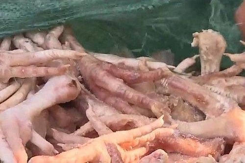 Chặn hơn 1,4 tấn chân gà không nguồn gốc trên đường về Hà Nội