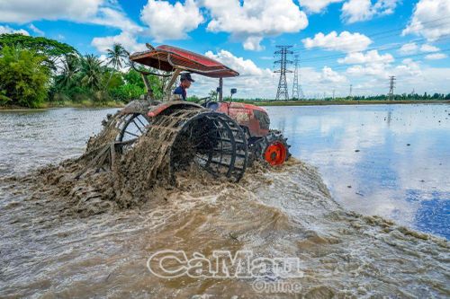Sẵn sàng cho vụ lúa mới