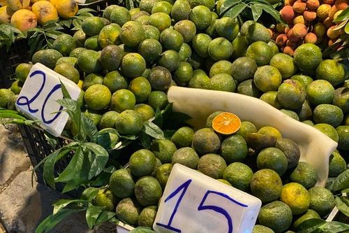 Một loại cam Việt vào mùa giá rẻ bèo, tiểu thương tiêu thụ vài tạ mỗi ngày