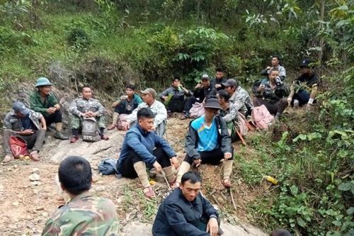 Người đàn ông mất tích khi vào rừng tìm mật ong