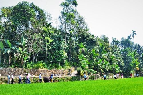 Quảng Nam: Công nhận Tiên Phước đạt chuẩn huyện nông thôn mới năm 2024