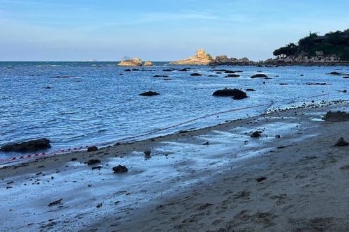 Giăng lưới bảo vệ san hô Nha Trang sau vụ TikToker 'sống ảo'