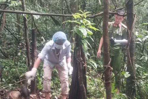 Quảng Ngãi: phát hiện hài cốt nghi là đối tượng trốn truy nã ở trong rừng sâu
