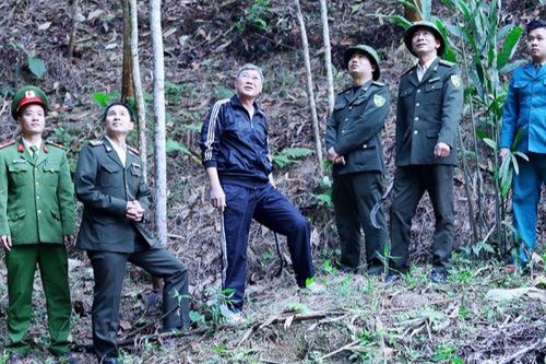 Thái Nguyên: Giao rừng, tạo sinh kế cho đồng bào dân tộc