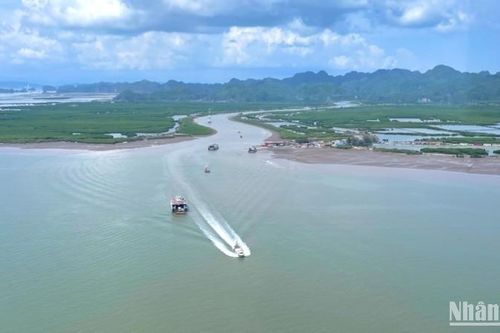 Ứng dụng công nghệ xanh vào bảo vệ môi trường biển