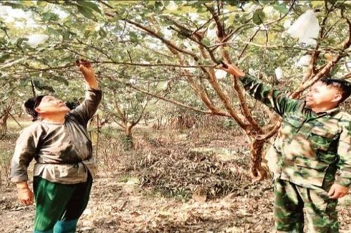 Phát triển nông nghiệp Đồng bằng sông Hồng theo hướng bền vững