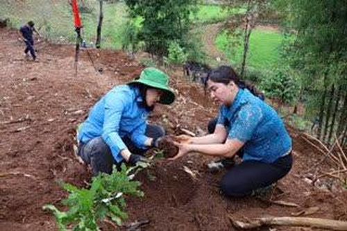Điện Biên yêu cầu khẩn trương giải quyết vướng mắc, hoàn thiện thủ tục chi trả tiền dịch vụ môi trường rừng