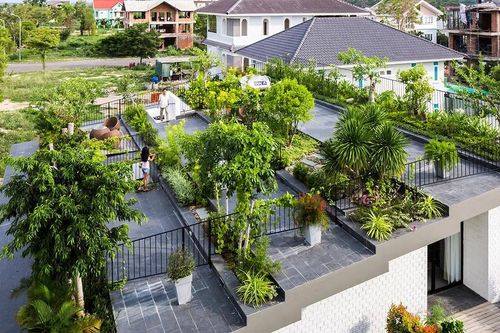 Ngôi nhà có vườn bậc thang trên mái độc đáo ở Nha Trang