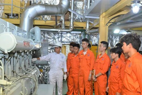 Hỗ trợ người học trong lĩnh vực, ngành nghề trọng điểm