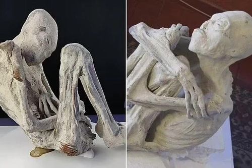 Phát hiện bất ngờ trên xác ướp nghi là người ngoài hành tinh