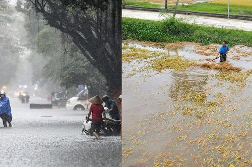 Ứng phó với thời tiết ngày càng cực đoan, bất thường: Tạo điều kiện để tư nhân và cộng đồng đầu tư vào thích ứng khí hậu