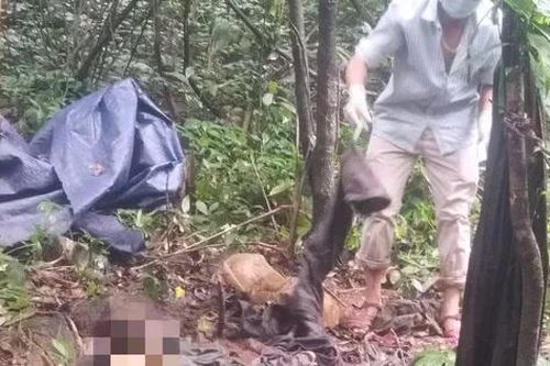 Phát hiện bộ hài cốt người trong rừng sâu Quảng Ngãi