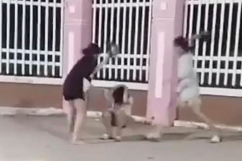 Xác minh clip nữ sinh bị bạn cầm mũ bảo hiểm đánh tới tấp vào đầu