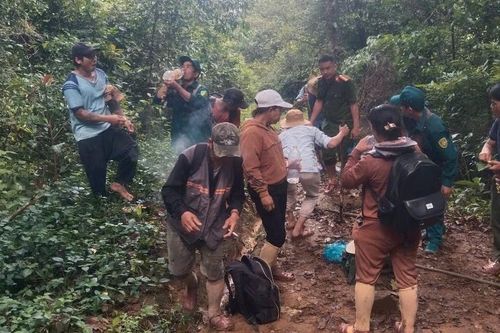 Đi rừng tìm mật ong, tá hỏa phát hiện hài cốt người trong lán trại