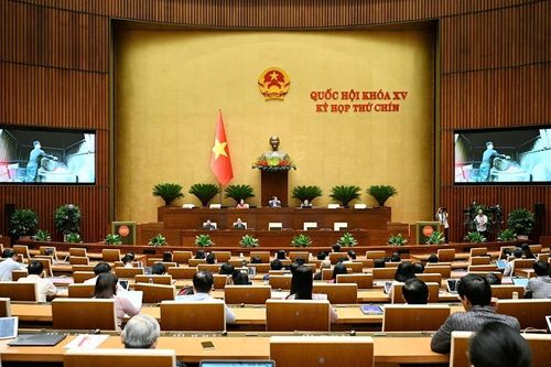 Đề nghị đưa khung hình phạt cao nhất là tử hình đối với tội danh sản xuất và kinh doanh thuốc giả, sữa giả